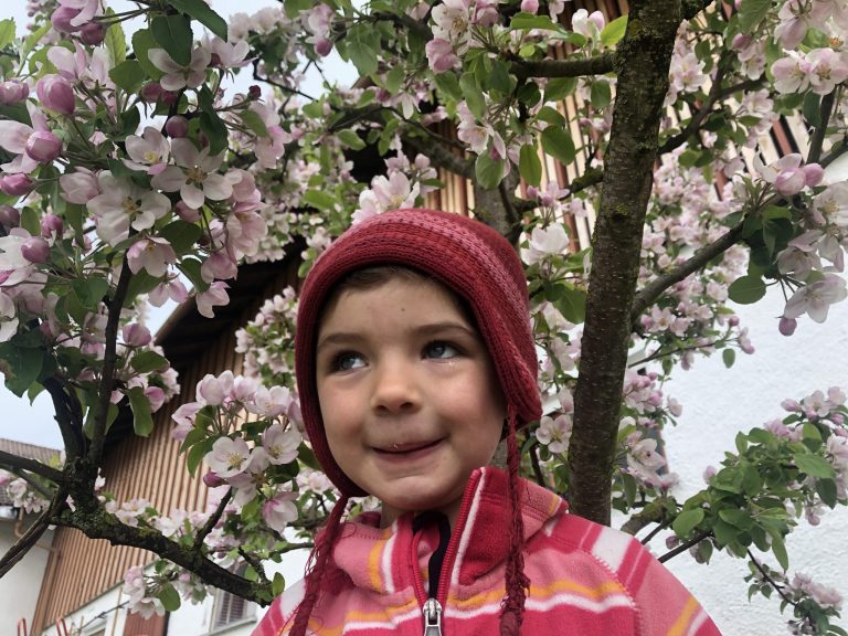 Kind unter einem blühenden Apfelbaum